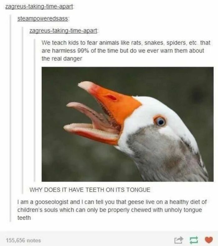67 Nerdy And Relatable Memes To Scroll Through For Good Vibes 67 Nerdy And Relatable Memes To Scroll Through For Good Vibes