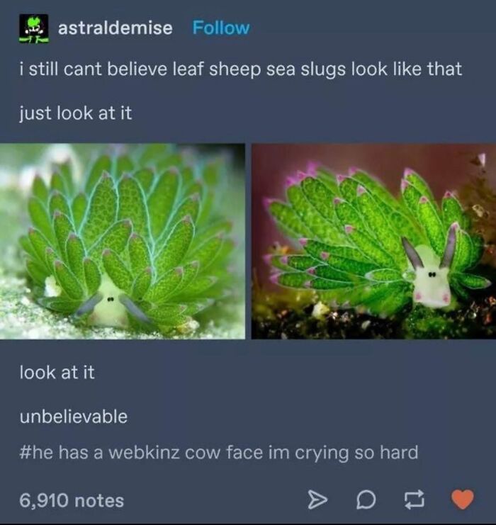 67 Nerdy And Relatable Memes To Scroll Through For Good Vibes 67 Nerdy And Relatable Memes To Scroll Through For Good Vibes