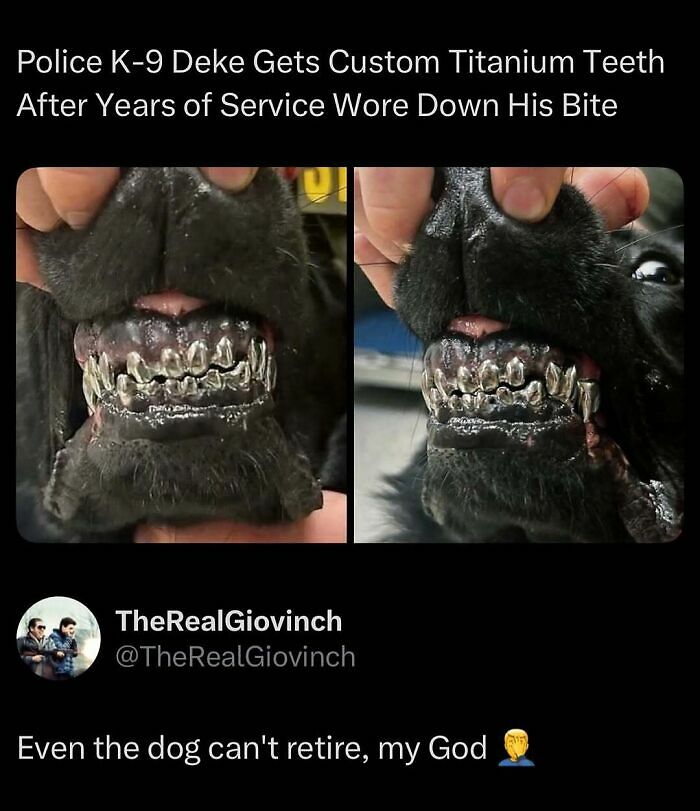 87 Internet Posts And Viral Moments That Made Scrolling Way More Enjoyable 87 Internet Posts And Viral Moments That Made Scrolling Way More Enjoyable