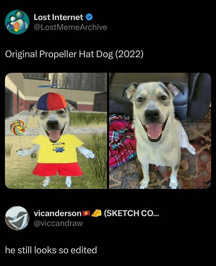 87 Internet Posts And Viral Moments That Made Scrolling Way More Enjoyable 87 Internet Posts And Viral Moments That Made Scrolling Way More Enjoyable