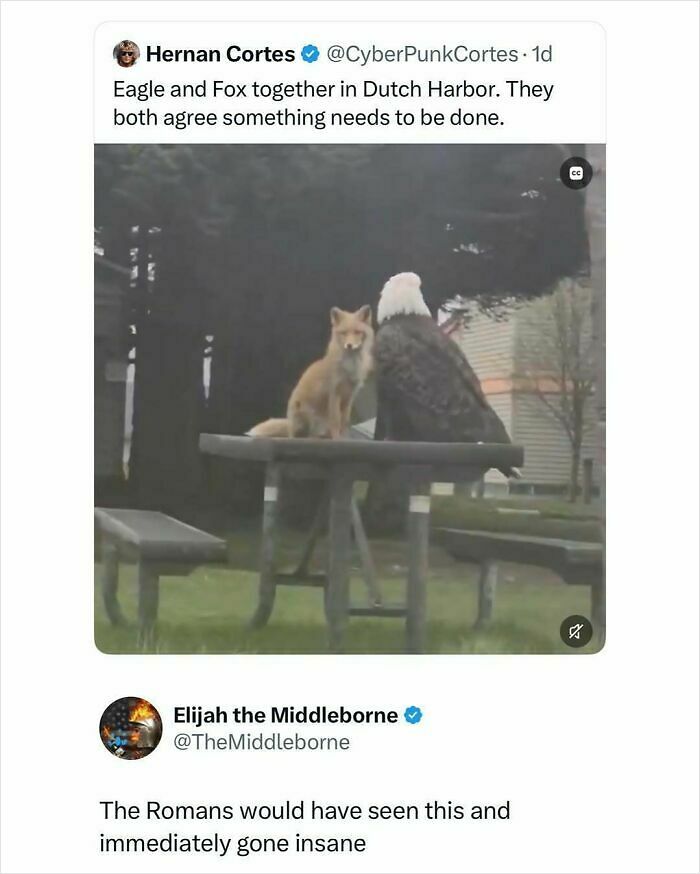 87 Internet Posts And Viral Moments That Made Scrolling Way More Enjoyable 87 Internet Posts And Viral Moments That Made Scrolling Way More Enjoyable