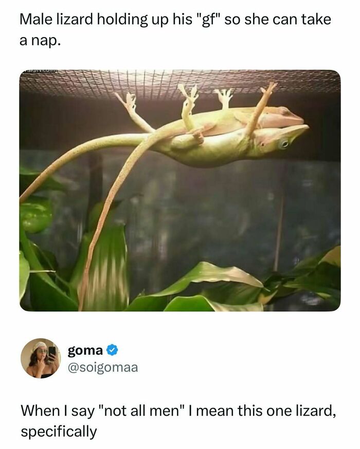 87 Internet Posts And Viral Moments That Made Scrolling Way More Enjoyable 87 Internet Posts And Viral Moments That Made Scrolling Way More Enjoyable