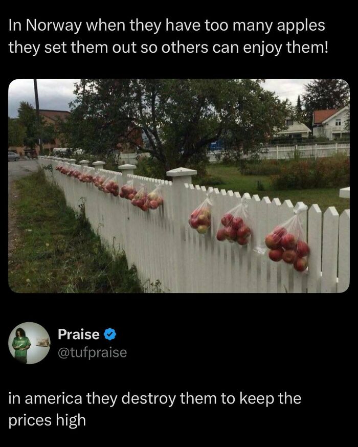 87 Internet Posts And Viral Moments That Made Scrolling Way More Enjoyable 87 Internet Posts And Viral Moments That Made Scrolling Way More Enjoyable