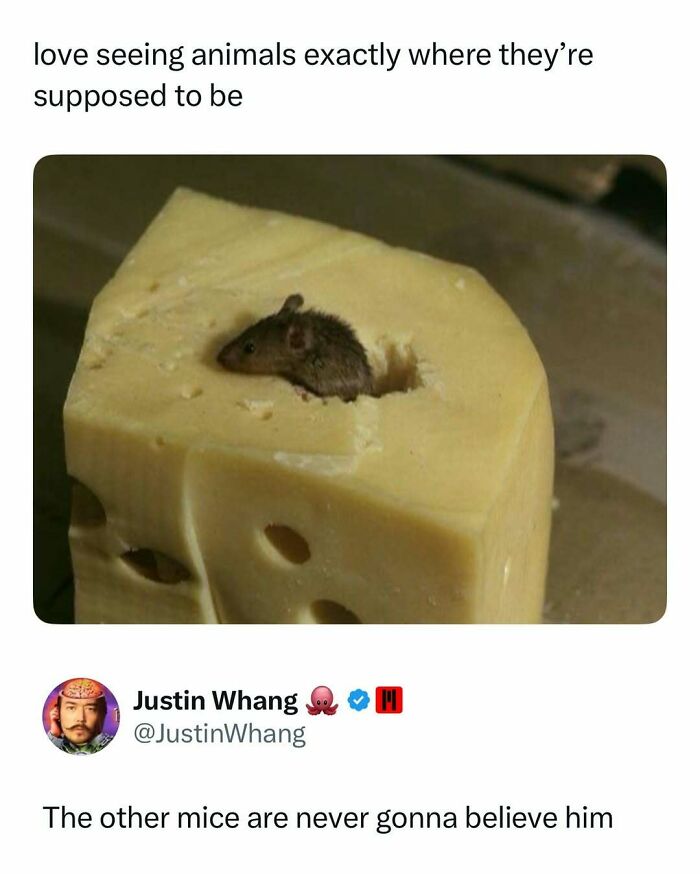 87 Internet Posts And Viral Moments That Made Scrolling Way More Enjoyable 87 Internet Posts And Viral Moments That Made Scrolling Way More Enjoyable