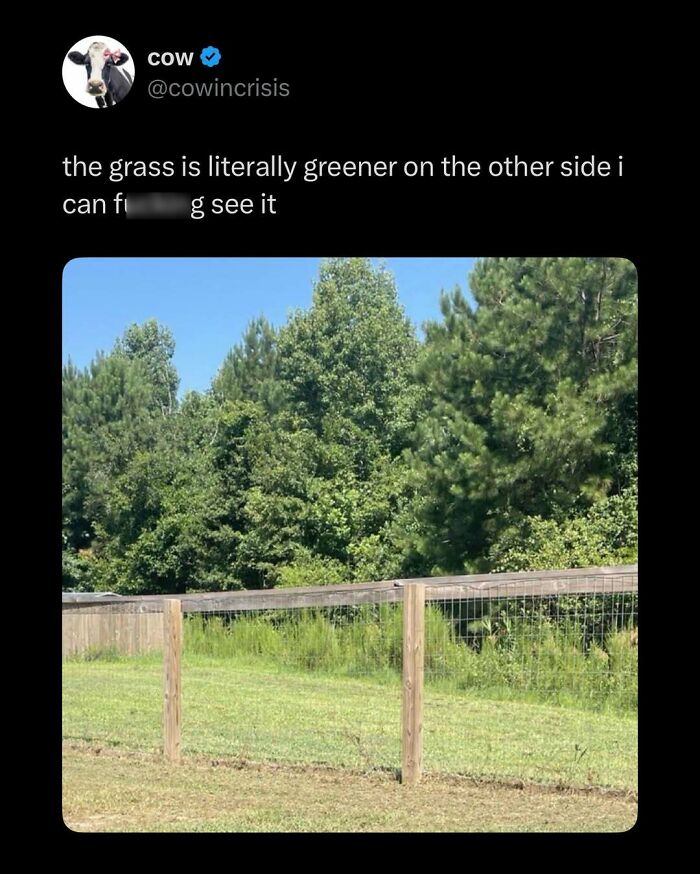 87 Internet Posts And Viral Moments That Made Scrolling Way More Enjoyable 87 Internet Posts And Viral Moments That Made Scrolling Way More Enjoyable