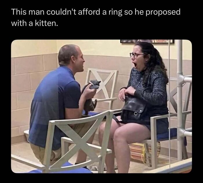 87 Internet Posts And Viral Moments That Made Scrolling Way More Enjoyable 87 Internet Posts And Viral Moments That Made Scrolling Way More Enjoyable