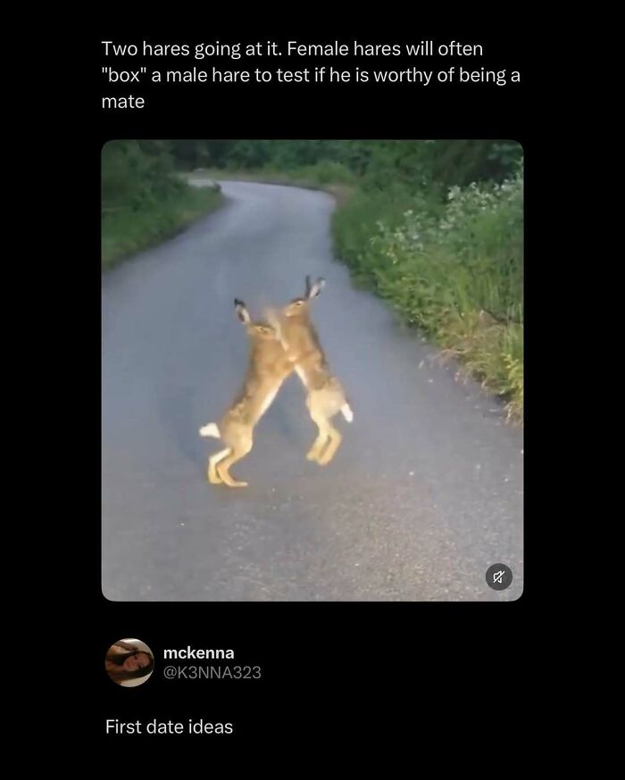 87 Internet Posts And Viral Moments That Made Scrolling Way More Enjoyable 87 Internet Posts And Viral Moments That Made Scrolling Way More Enjoyable