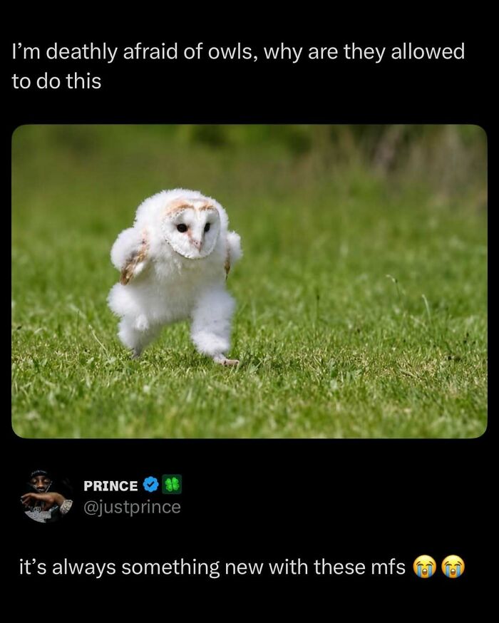87 Internet Posts And Viral Moments That Made Scrolling Way More Enjoyable 87 Internet Posts And Viral Moments That Made Scrolling Way More Enjoyable