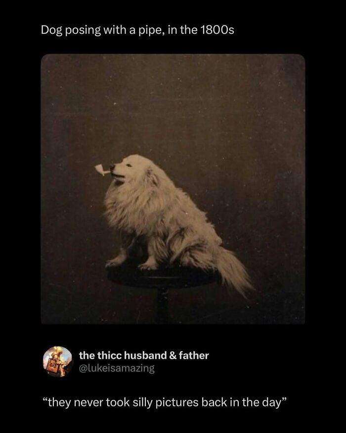 87 Internet Posts And Viral Moments That Made Scrolling Way More Enjoyable 87 Internet Posts And Viral Moments That Made Scrolling Way More Enjoyable