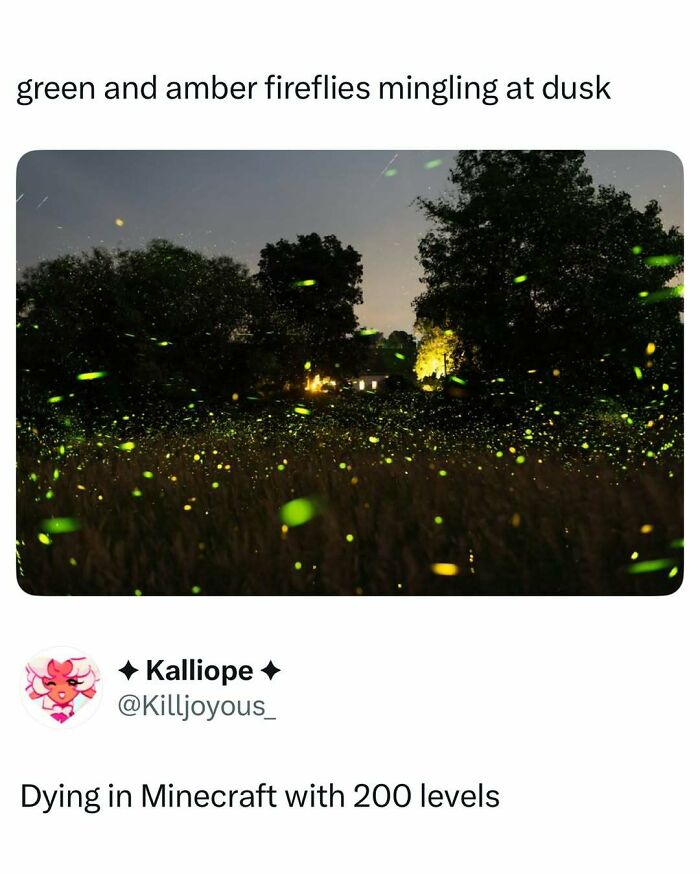 87 Internet Posts And Viral Moments That Made Scrolling Way More Enjoyable 87 Internet Posts And Viral Moments That Made Scrolling Way More Enjoyable