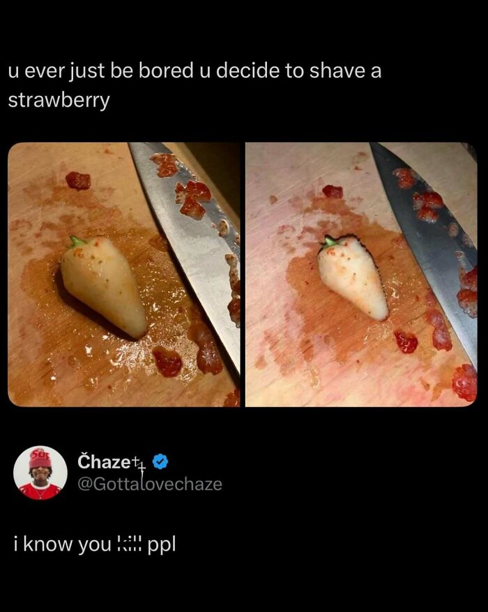 87 Internet Posts And Viral Moments That Made Scrolling Way More Enjoyable 87 Internet Posts And Viral Moments That Made Scrolling Way More Enjoyable