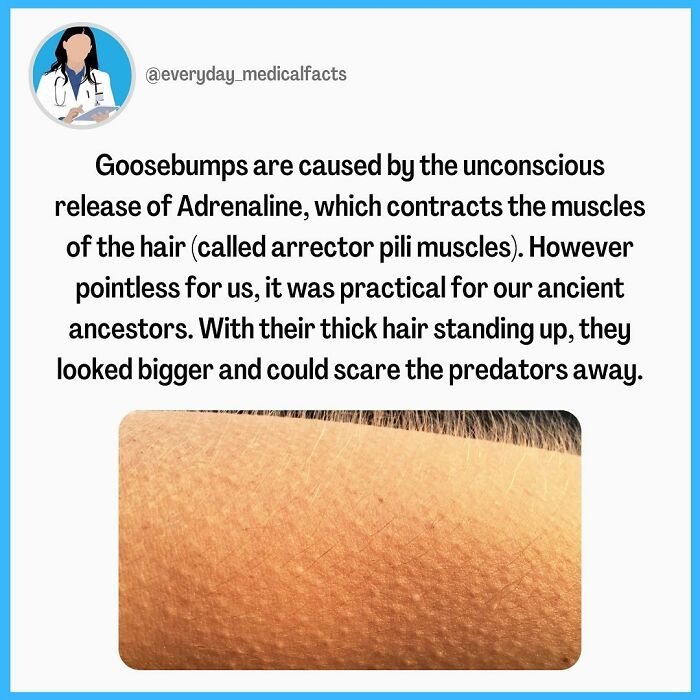 71 Medical Facts That Sound Fake But Are Completely Real 71 Medical Facts That Sound Fake But Are Completely Real