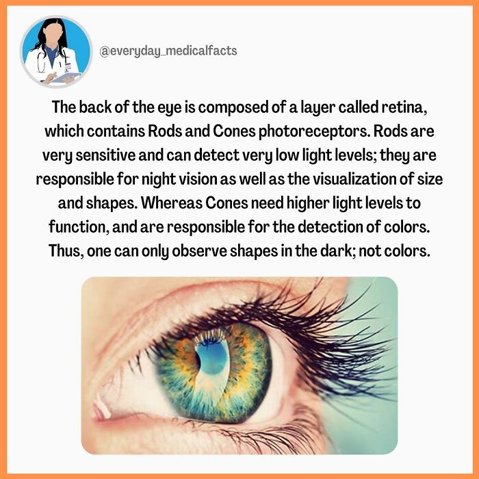 71 Medical Facts That Sound Fake But Are Completely Real 71 Medical Facts That Sound Fake But Are Completely Real