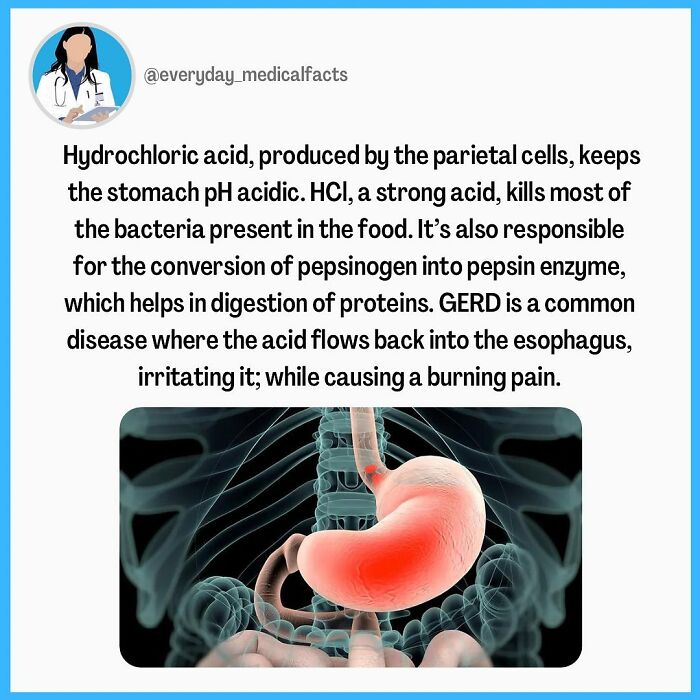 71 Medical Facts That Sound Fake But Are Completely Real 71 Medical Facts That Sound Fake But Are Completely Real