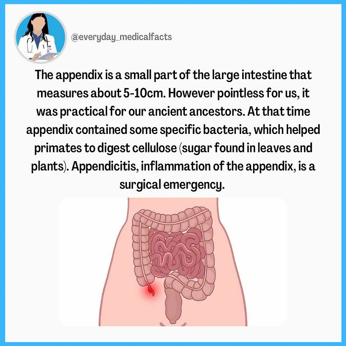 71 Medical Facts That Sound Fake But Are Completely Real 71 Medical Facts That Sound Fake But Are Completely Real