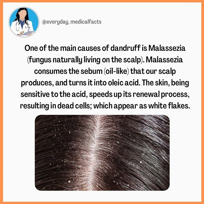 71 Medical Facts That Sound Fake But Are Completely Real 71 Medical Facts That Sound Fake But Are Completely Real