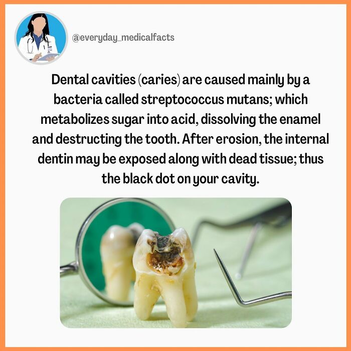 71 Medical Facts That Sound Fake But Are Completely Real 71 Medical Facts That Sound Fake But Are Completely Real