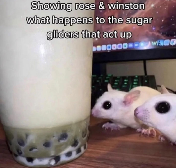 59 Screenshots That Are So Absurd, They’re Impossible Not To Laugh At 59 Screenshots That Are So Absurd, They’re Impossible Not To Laugh At