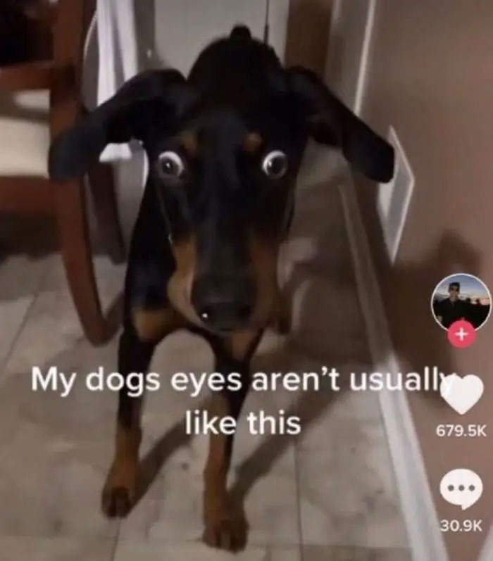 59 Screenshots That Are So Absurd, They’re Impossible Not To Laugh At 59 Screenshots That Are So Absurd, They’re Impossible Not To Laugh At