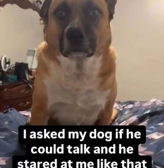 59 Screenshots That Are So Absurd, They’re Impossible Not To Laugh At 59 Screenshots That Are So Absurd, They’re Impossible Not To Laugh At