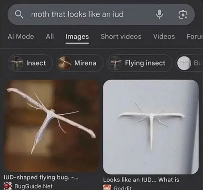 59 Screenshots That Are So Absurd, They’re Impossible Not To Laugh At 59 Screenshots That Are So Absurd, They’re Impossible Not To Laugh At