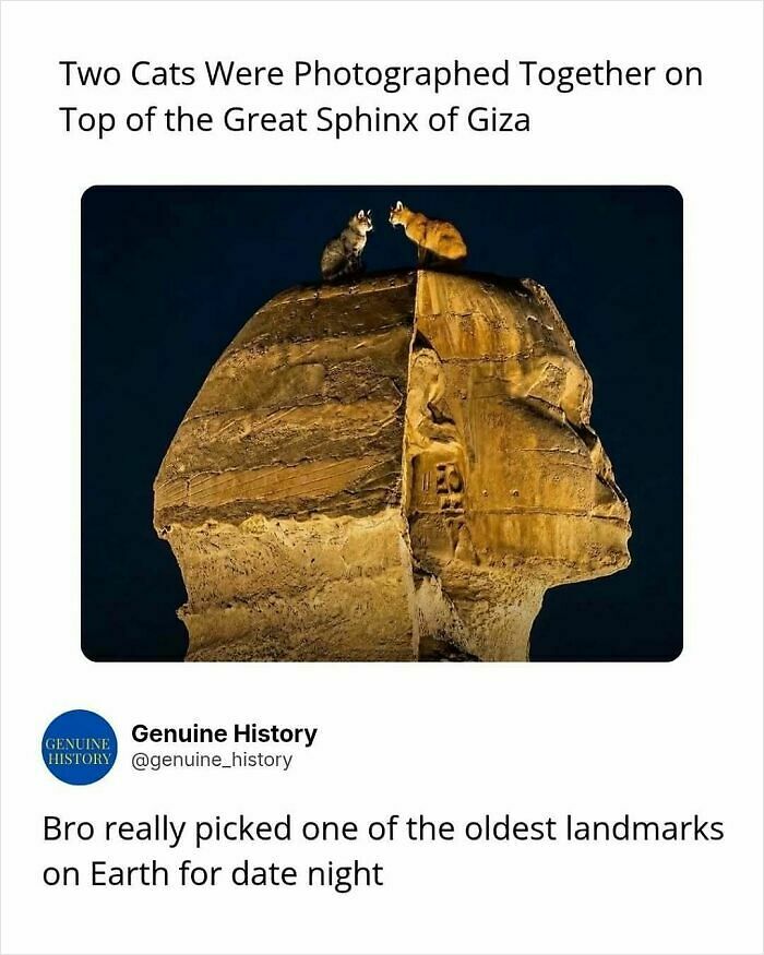 79 Fascinating Facts That Might Completely Change How You See The World 79 Fascinating Facts That Might Completely Change How You See The World
