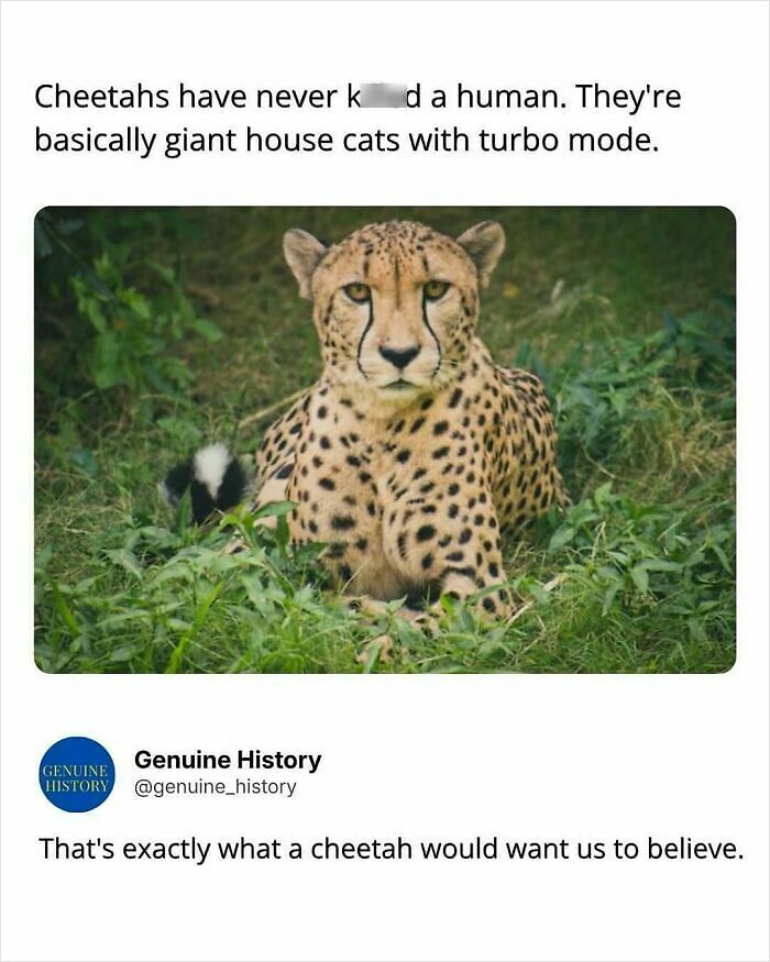 79 Fascinating Facts That Might Completely Change How You See The World 79 Fascinating Facts That Might Completely Change How You See The World