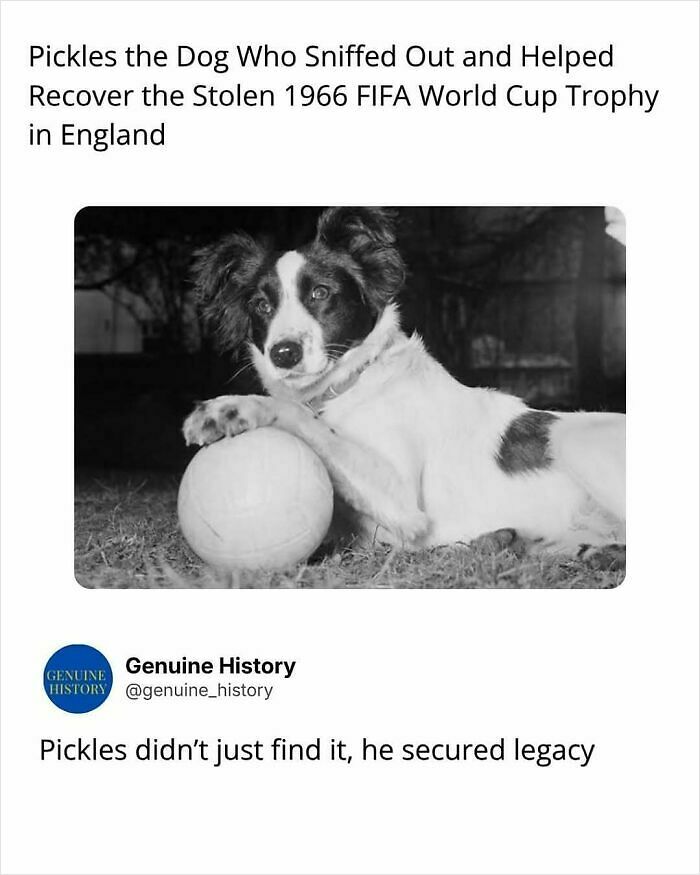 79 Fascinating Facts That Might Completely Change How You See The World 79 Fascinating Facts That Might Completely Change How You See The World