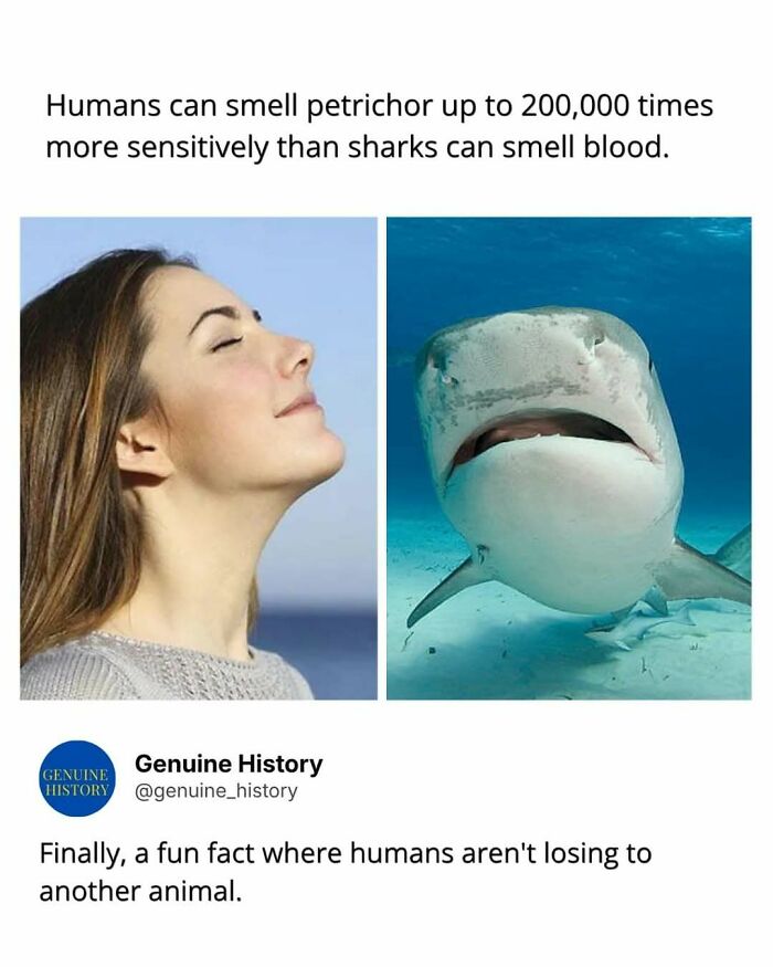 79 Fascinating Facts That Might Completely Change How You See The World 79 Fascinating Facts That Might Completely Change How You See The World