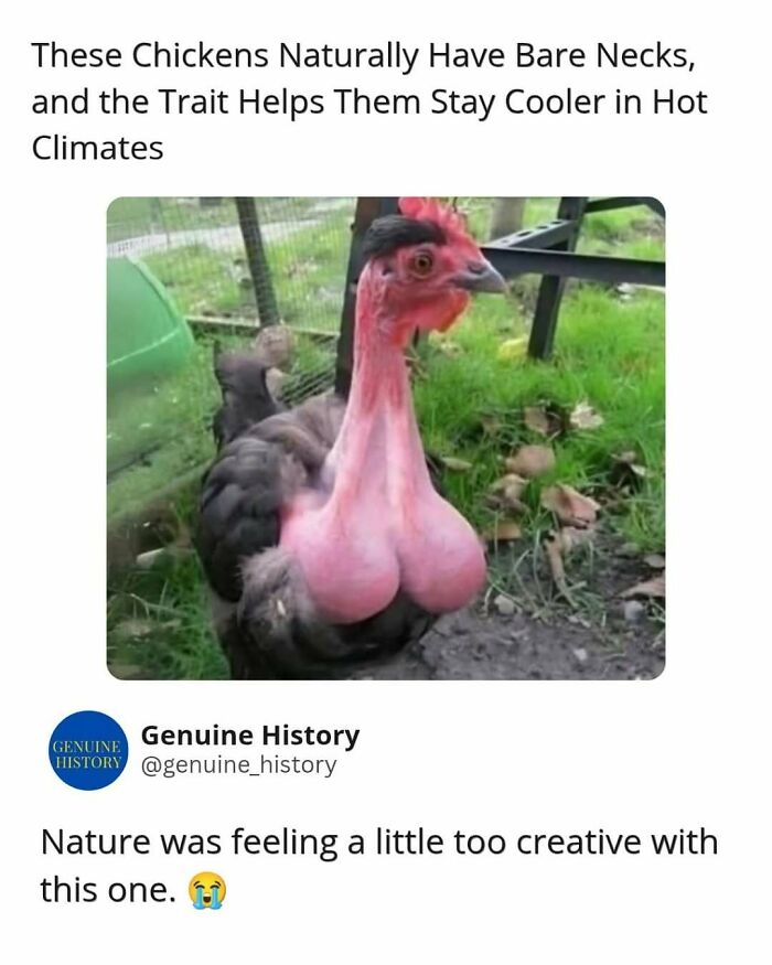 79 Fascinating Facts That Might Completely Change How You See The World 79 Fascinating Facts That Might Completely Change How You See The World
