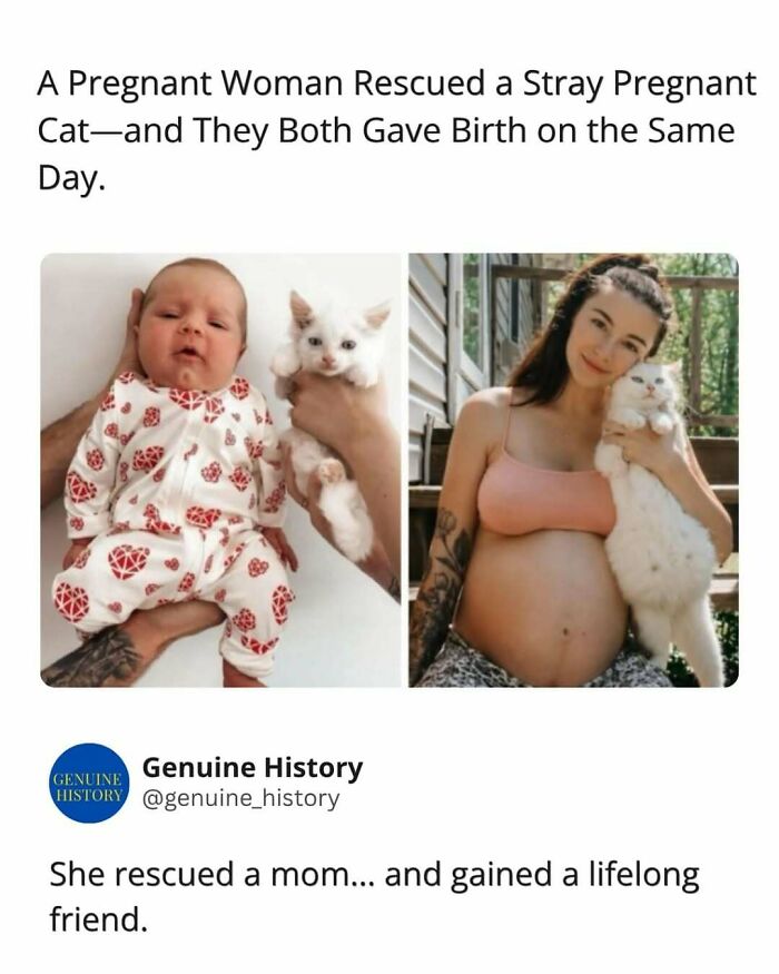 79 Fascinating Facts That Might Completely Change How You See The World 79 Fascinating Facts That Might Completely Change How You See The World