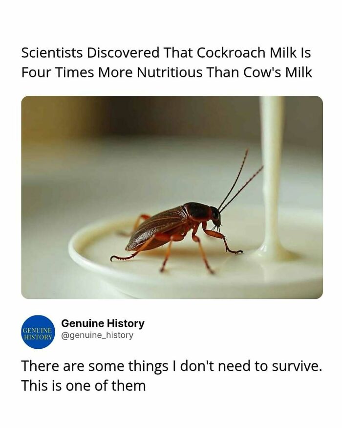 79 Fascinating Facts That Might Completely Change How You See The World 79 Fascinating Facts That Might Completely Change How You See The World