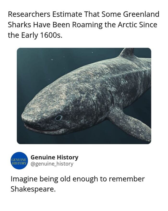 79 Fascinating Facts That Might Completely Change How You See The World 79 Fascinating Facts That Might Completely Change How You See The World