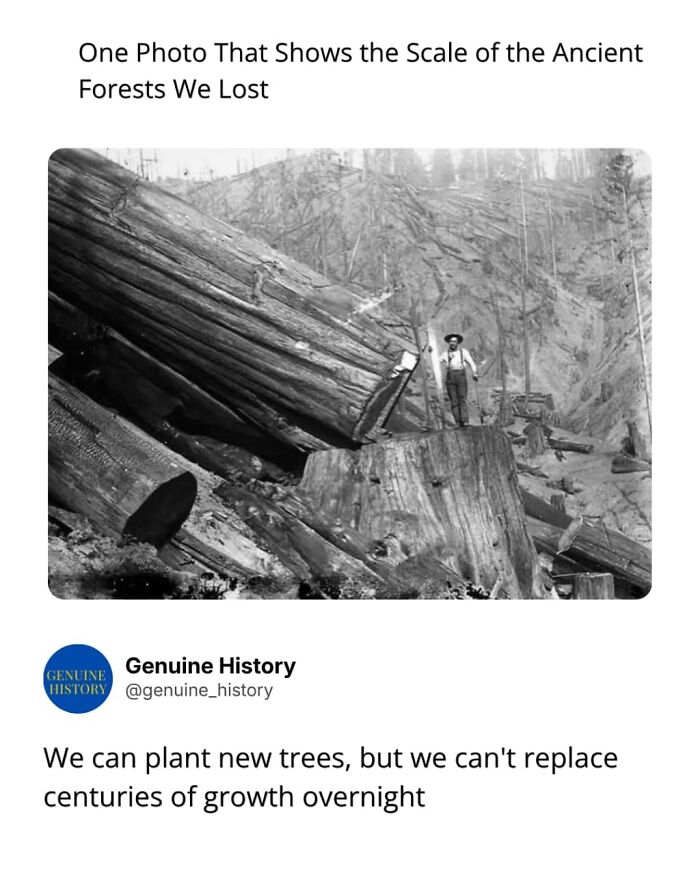 79 Fascinating Facts That Might Completely Change How You See The World 79 Fascinating Facts That Might Completely Change How You See The World