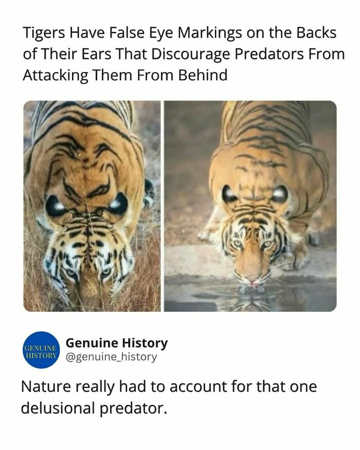 79 Fascinating Facts That Might Completely Change How You See The World 79 Fascinating Facts That Might Completely Change How You See The World