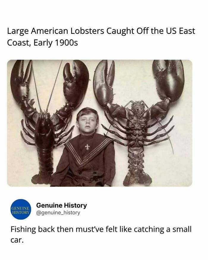 79 Fascinating Facts That Might Completely Change How You See The World 79 Fascinating Facts That Might Completely Change How You See The World