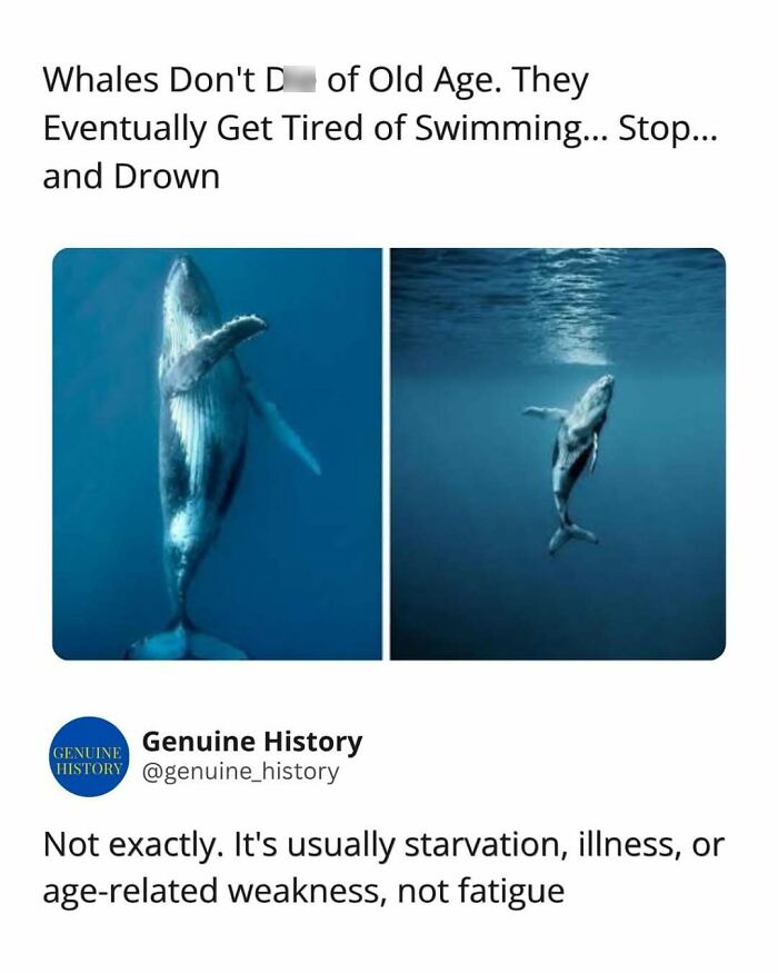 79 Fascinating Facts That Might Completely Change How You See The World 79 Fascinating Facts That Might Completely Change How You See The World