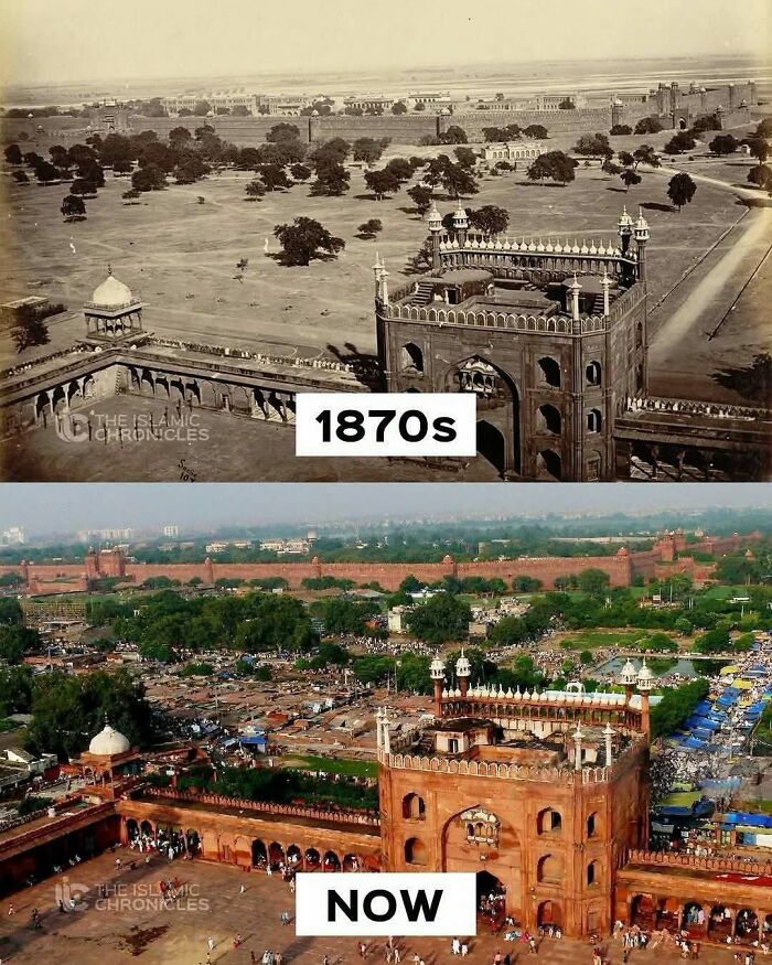 79 Fascinating Facts That Might Completely Change How You See The World 79 Fascinating Facts That Might Completely Change How You See The World