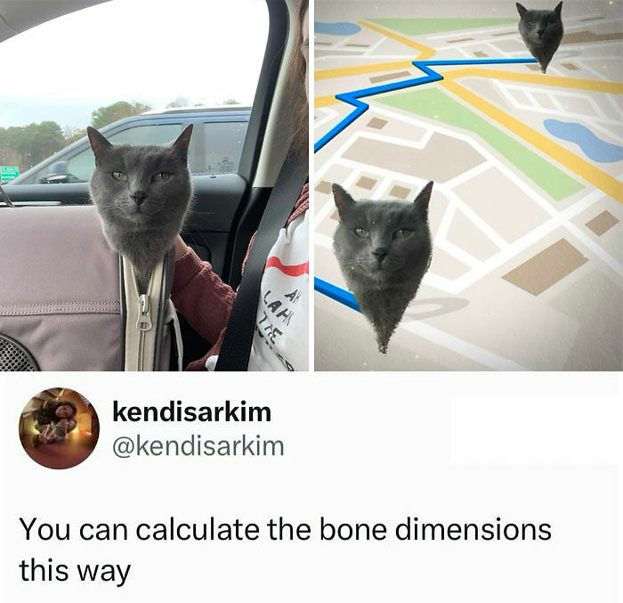 If You Need A Quick Laugh Today, These 66 Random Memes Are Exactly What You Should See If You Need A Quick Laugh Today, These 66 Random Memes Are Exactly What You Should See
