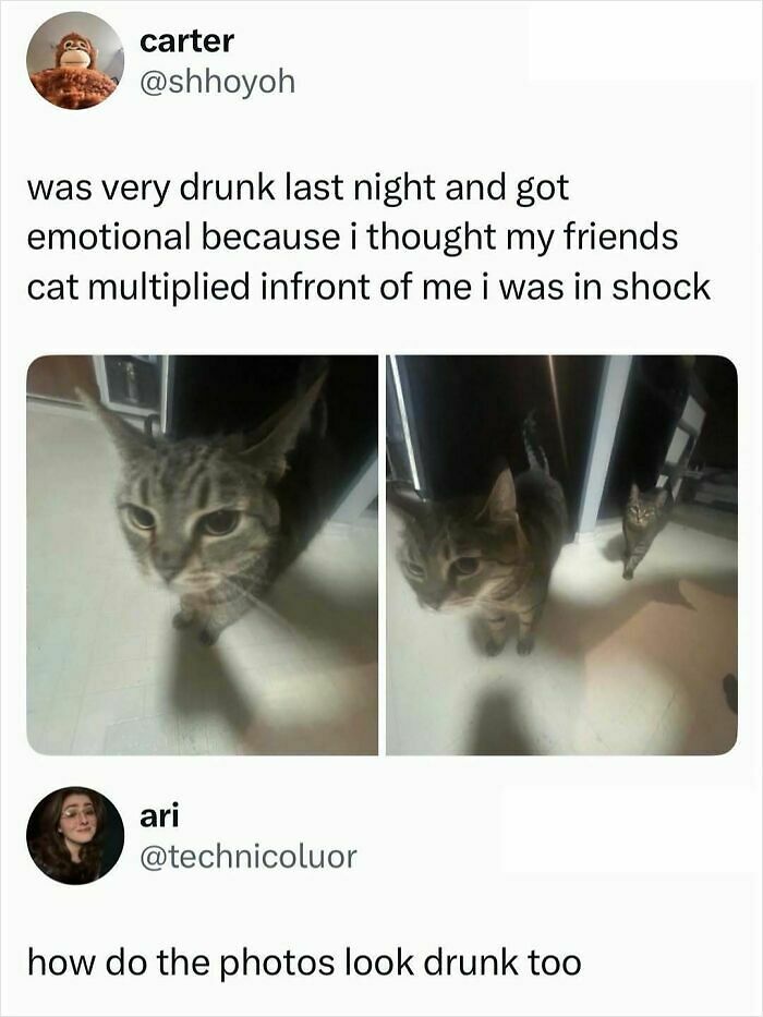 If You Need A Quick Laugh Today, These 66 Random Memes Are Exactly What You Should See If You Need A Quick Laugh Today, These 66 Random Memes Are Exactly What You Should See