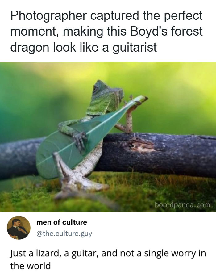 If You Need A Quick Laugh Today, These 66 Random Memes Are Exactly What You Should See If You Need A Quick Laugh Today, These 66 Random Memes Are Exactly What You Should See