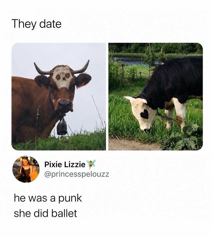 If You Need A Quick Laugh Today, These 66 Random Memes Are Exactly What You Should See If You Need A Quick Laugh Today, These 66 Random Memes Are Exactly What You Should See