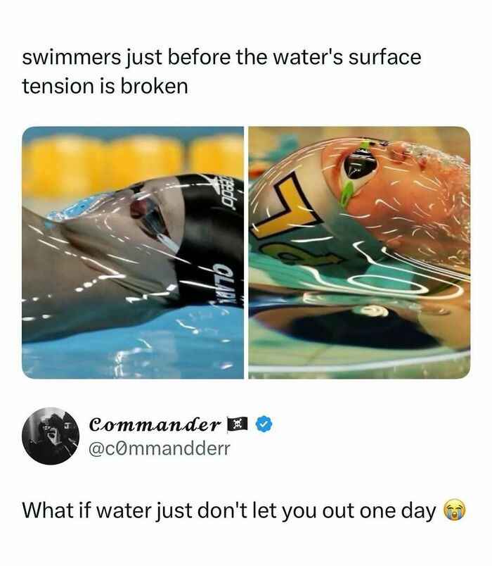 If You Need A Quick Laugh Today, These 66 Random Memes Are Exactly What You Should See If You Need A Quick Laugh Today, These 66 Random Memes Are Exactly What You Should See