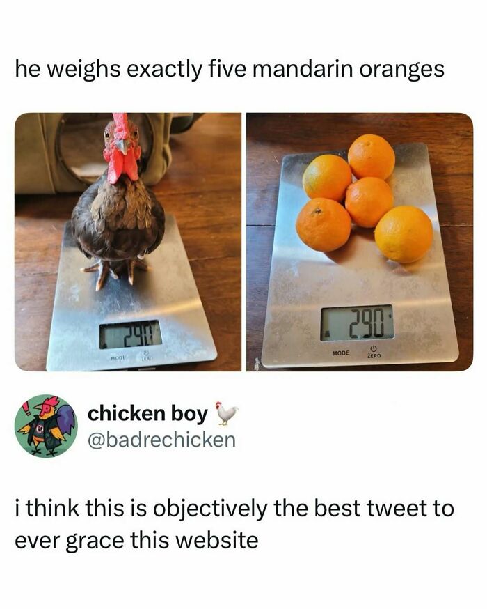If You Need A Quick Laugh Today, These 66 Random Memes Are Exactly What You Should See If You Need A Quick Laugh Today, These 66 Random Memes Are Exactly What You Should See