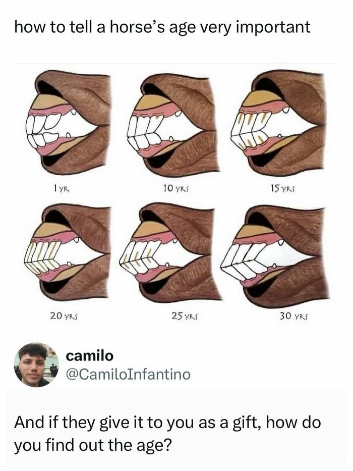 If You Need A Quick Laugh Today, These 66 Random Memes Are Exactly What You Should See If You Need A Quick Laugh Today, These 66 Random Memes Are Exactly What You Should See