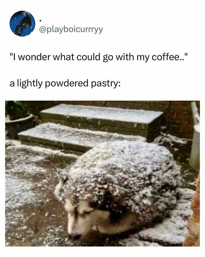 If You Need A Quick Laugh Today, These 66 Random Memes Are Exactly What You Should See If You Need A Quick Laugh Today, These 66 Random Memes Are Exactly What You Should See