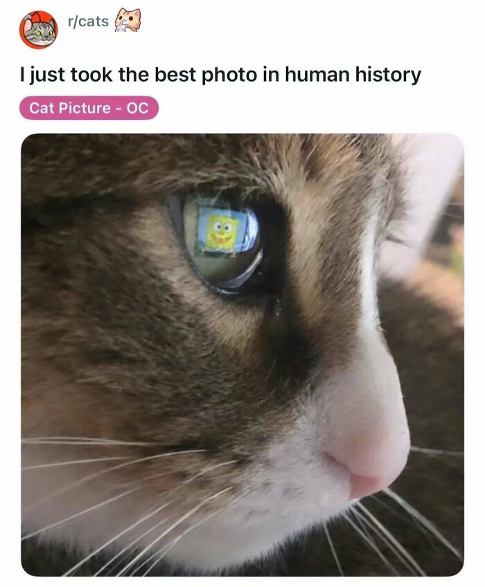 If You Need A Quick Laugh Today, These 66 Random Memes Are Exactly What You Should See If You Need A Quick Laugh Today, These 66 Random Memes Are Exactly What You Should See