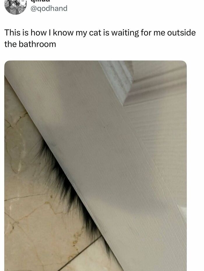 If You Need A Quick Laugh Today, These 66 Random Memes Are Exactly What You Should See If You Need A Quick Laugh Today, These 66 Random Memes Are Exactly What You Should See