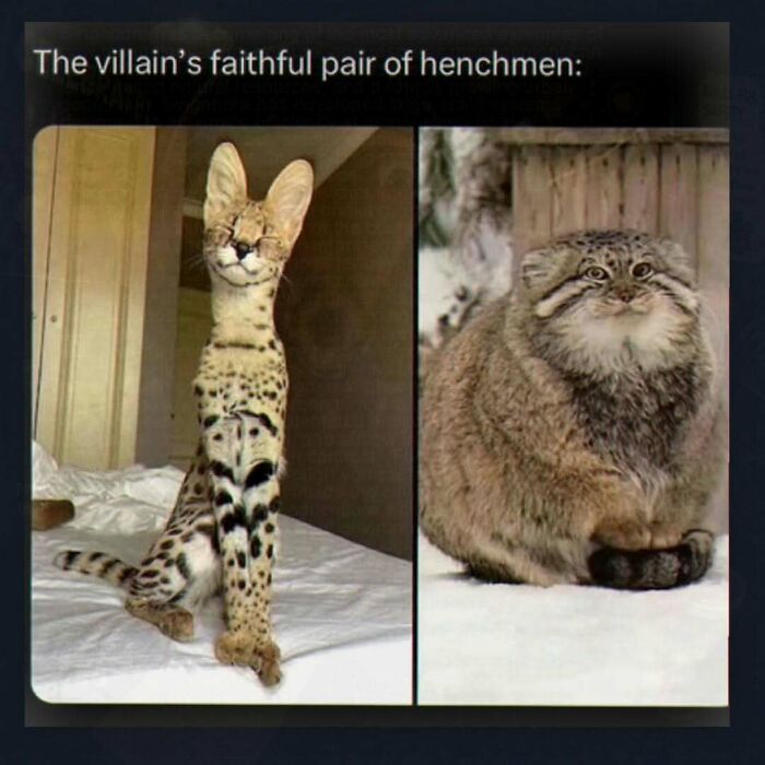 If You Need A Quick Laugh Today, These 66 Random Memes Are Exactly What You Should See If You Need A Quick Laugh Today, These 66 Random Memes Are Exactly What You Should See