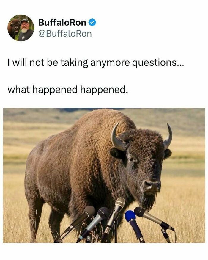 If You Need A Quick Laugh Today, These 66 Random Memes Are Exactly What You Should See If You Need A Quick Laugh Today, These 66 Random Memes Are Exactly What You Should See